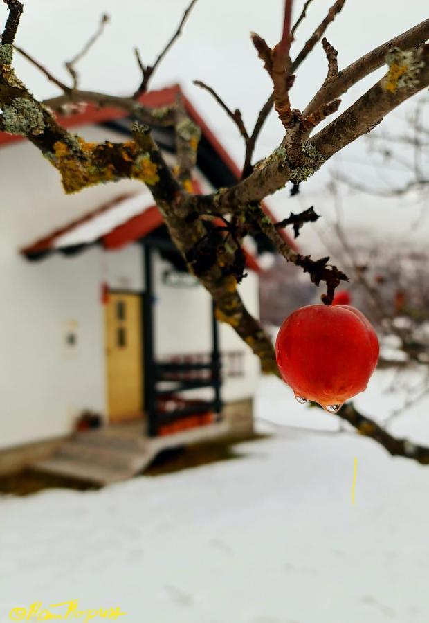 Kosta'S Romantic House Plav Dış mekan fotoğraf