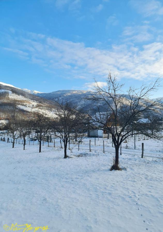 Kosta'S Romantic House Plav Dış mekan fotoğraf