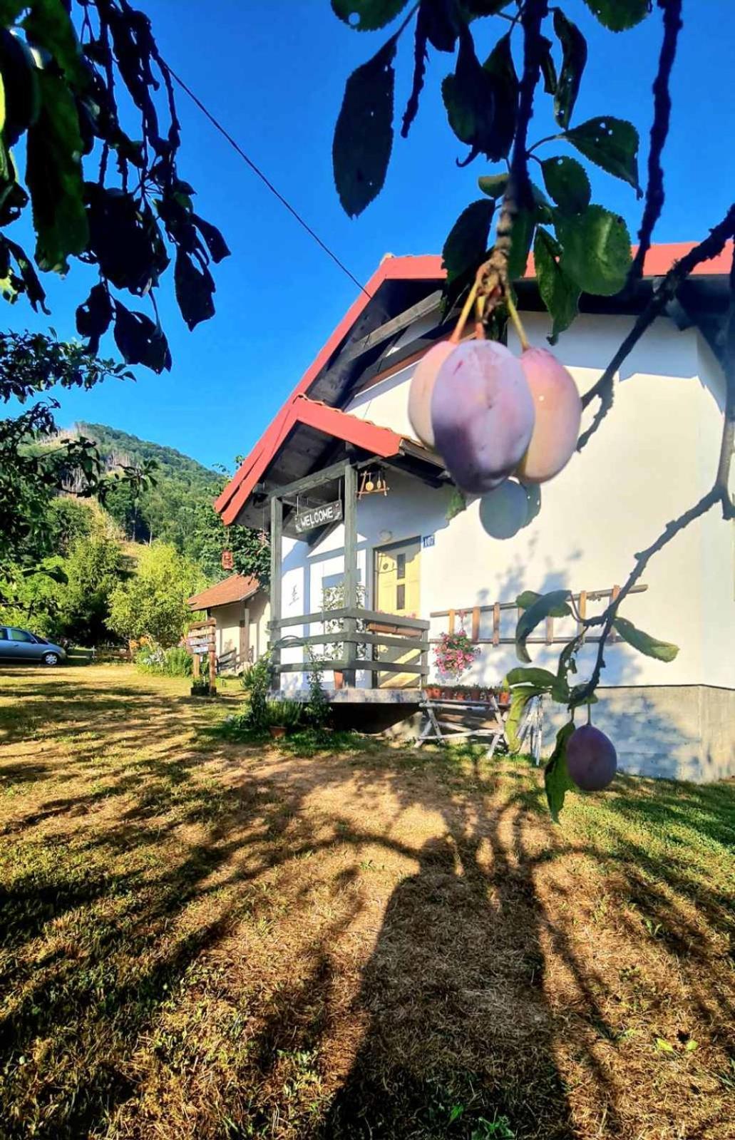 Kosta'S Romantic House Plav Dış mekan fotoğraf