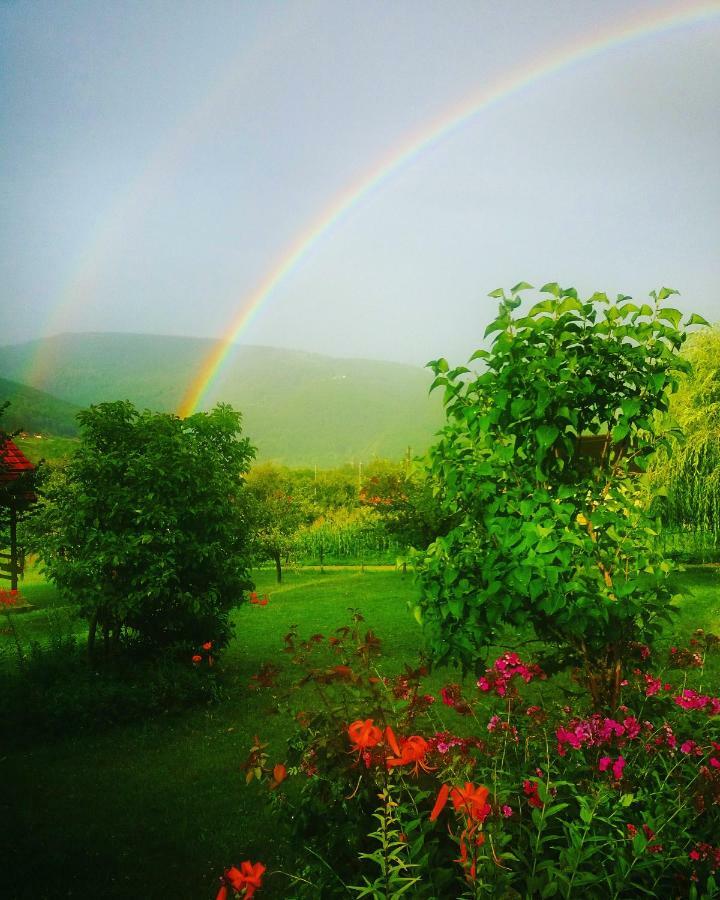 Kosta'S Romantic House Plav Dış mekan fotoğraf